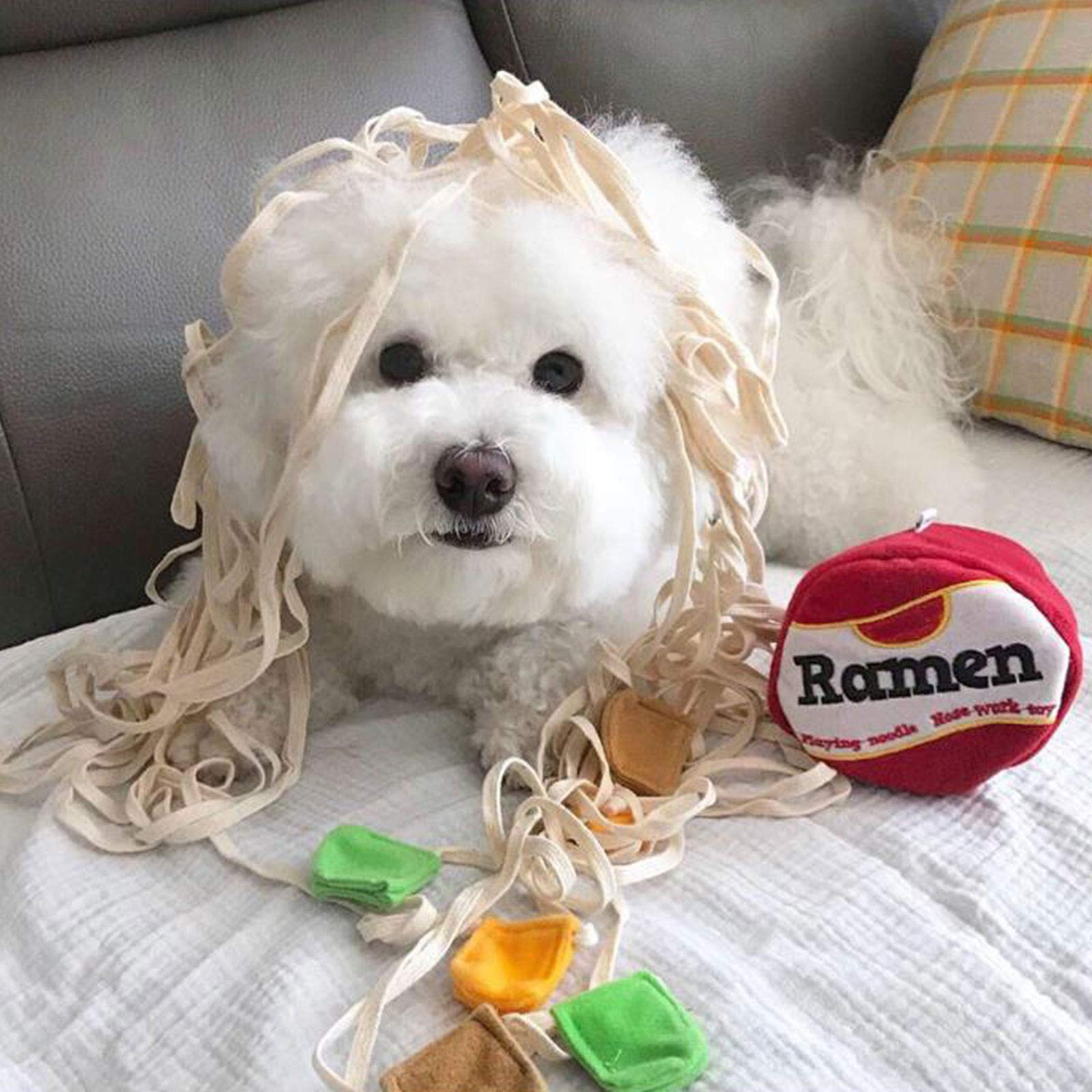 Interactive Dog Chew Plush Toy - Slow Feeding Puzzle Toy for Puppies & Cats | Ramen Noodle Nose Work Training | Small Pet Enrichment Activity for Mental Stimulation & Playtime Fun