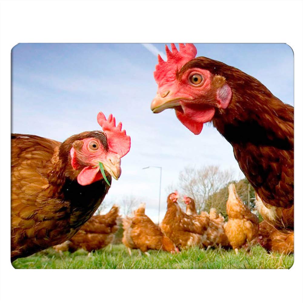Funny Chicken Gaming Mouse Pad - Non-Slip Rubber Base, 9.5