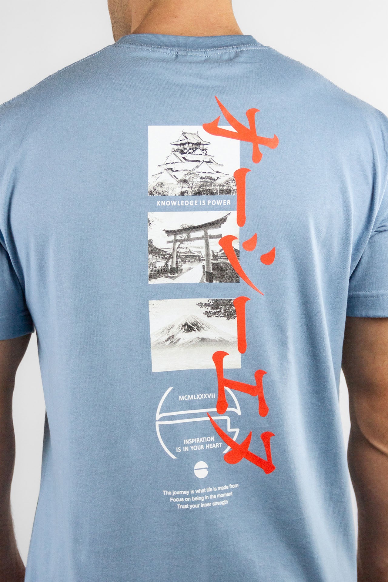 Original OCN Celeste D8 T-Shirt - Comfortable & Stylish Cotton Tee for Men & Women - Perfect for Casual Wear, Gym, and Everyday Outfits