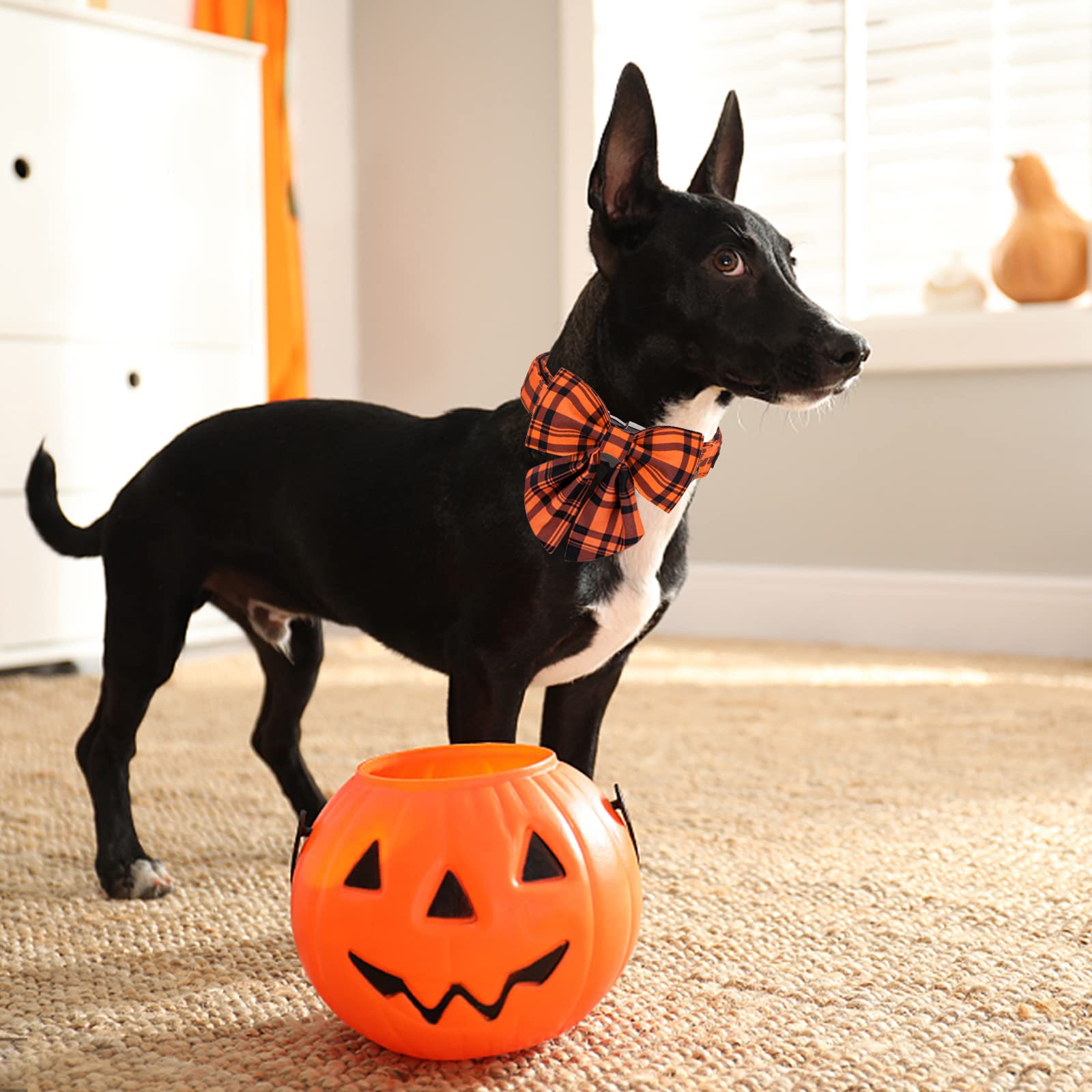 ARING PET Adjustable Dog Collar with Detachable Bow Tie - Fall Orange Grid Pattern, Metal Buckle for Halloween & Special Occasions - Perfect for Costumes, Parties & Daily Walks