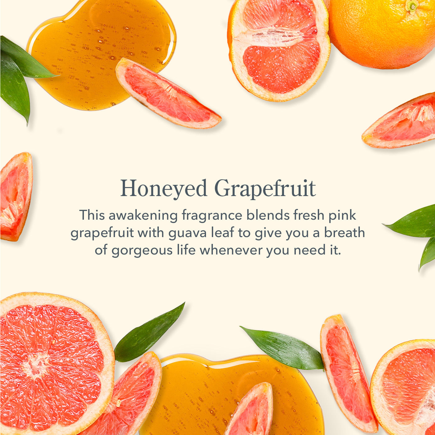 Honey Grapefruit Whipped Body Cream - Moisturizing & Nourishing for Dry Skin | Perfect for Daily Hydration & Spa Nights