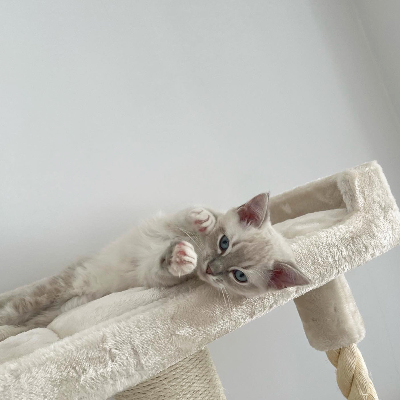 Lucky Rebels Parklane 175cm Cat Tree - Premium Large Cat Tower with Scratching Posts, Perches & Condo for Indoor Cats - Perfect for Play, Rest & Climbing in Home or Apartment