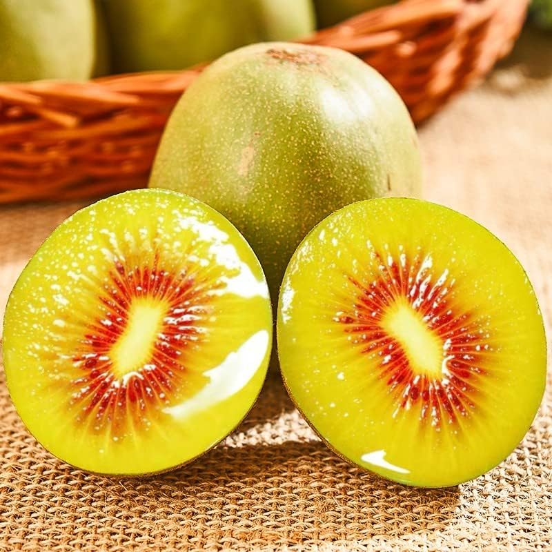 Non-GMO Mixed Fruit Seeds for Planting - 100 Grape, 100 Apple, 100 Kiwi, 100 Cherimoya, 10 Mulberry, 20 Cherry Seeds - Fresh Home Garden Seeds for DIY Planting, Backyard Orchard & Indoor Gardening