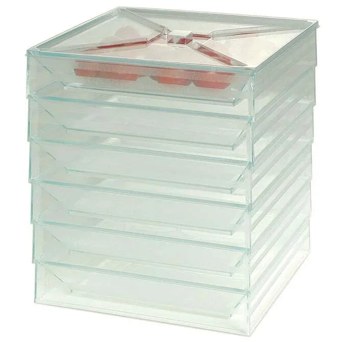 Comatec Eco-Friendly Bento Lunch Box - Durable Sea Green Plastic Container for Meal Prep, Kids Lunch, Office & Picnic Use