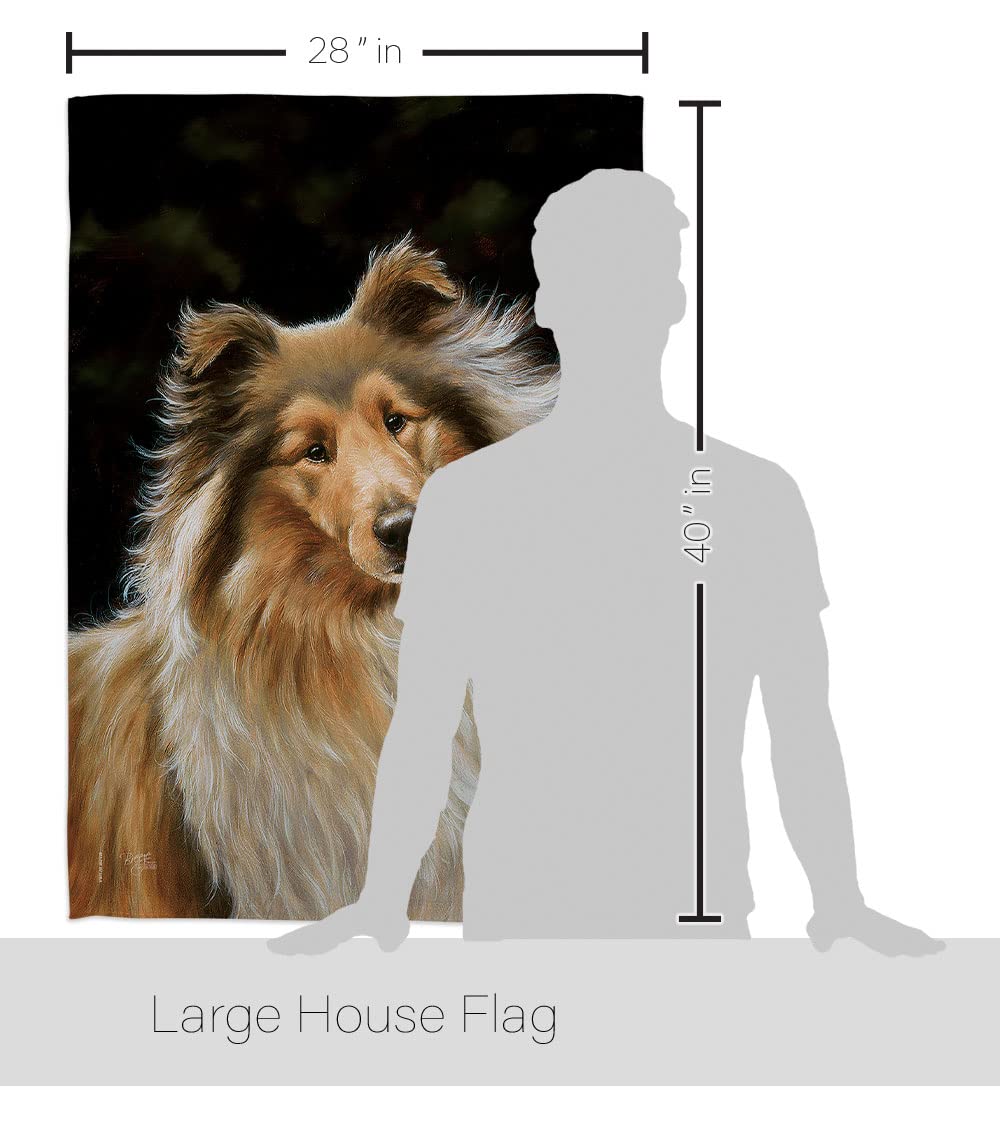 Collie Pet House Flag Set 28x40