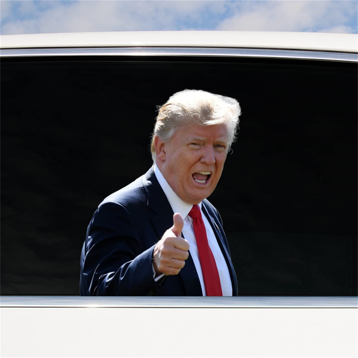 MYLZZ Funny Car Window Decals - Trump & Biden Kiss Stickers for Cars & Gas Stations (25 x 32cm) - Hilarious Political Humor Vinyl Decals for Vehicles, Windows, Laptops - Perfect for Pranking Friends & Political Satire