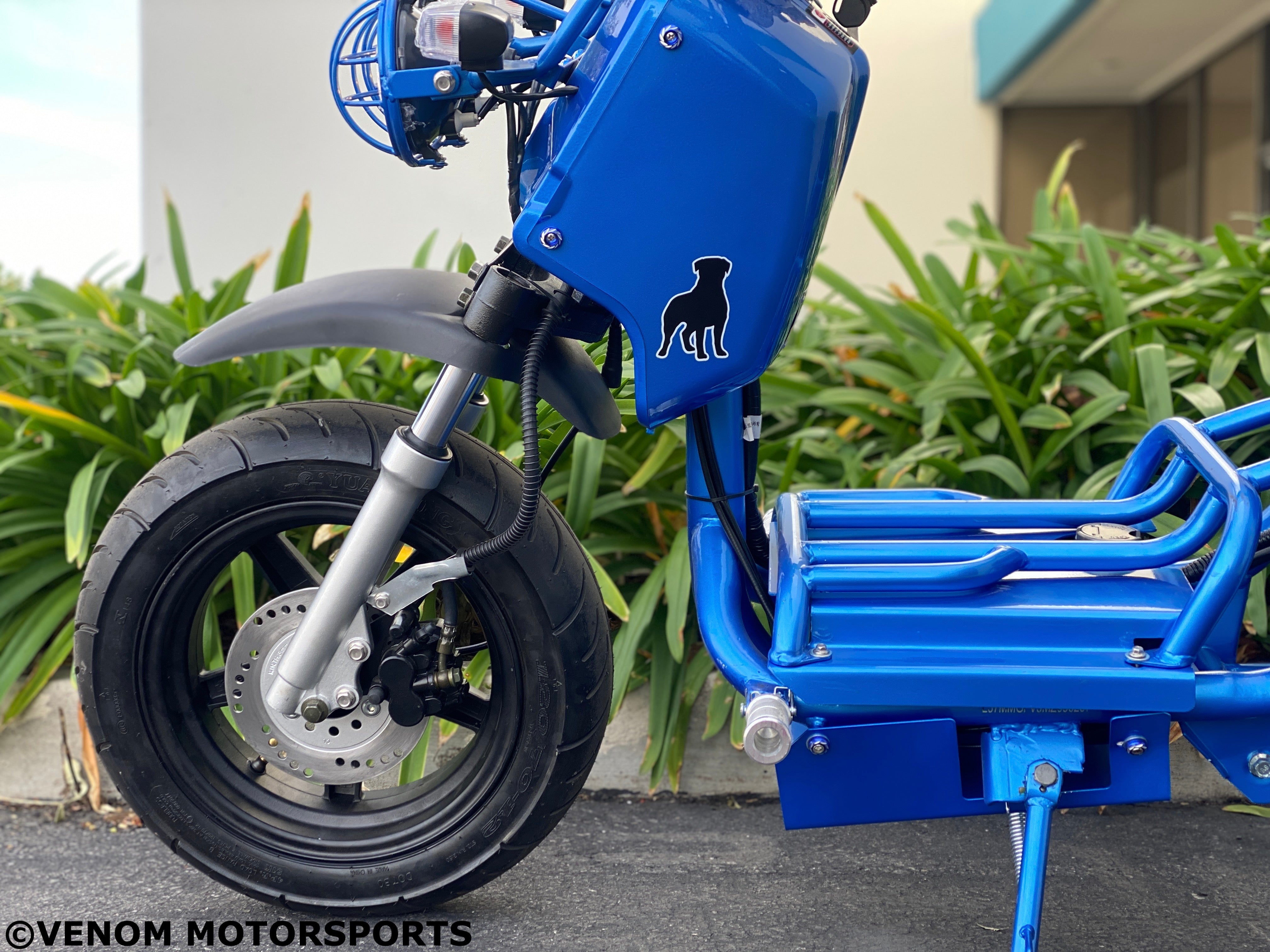 50cc Maddog Scooter - 1st Generation Automatic Transmission Moped for Adults | Commuting, Campus Riding & Urban Transportation