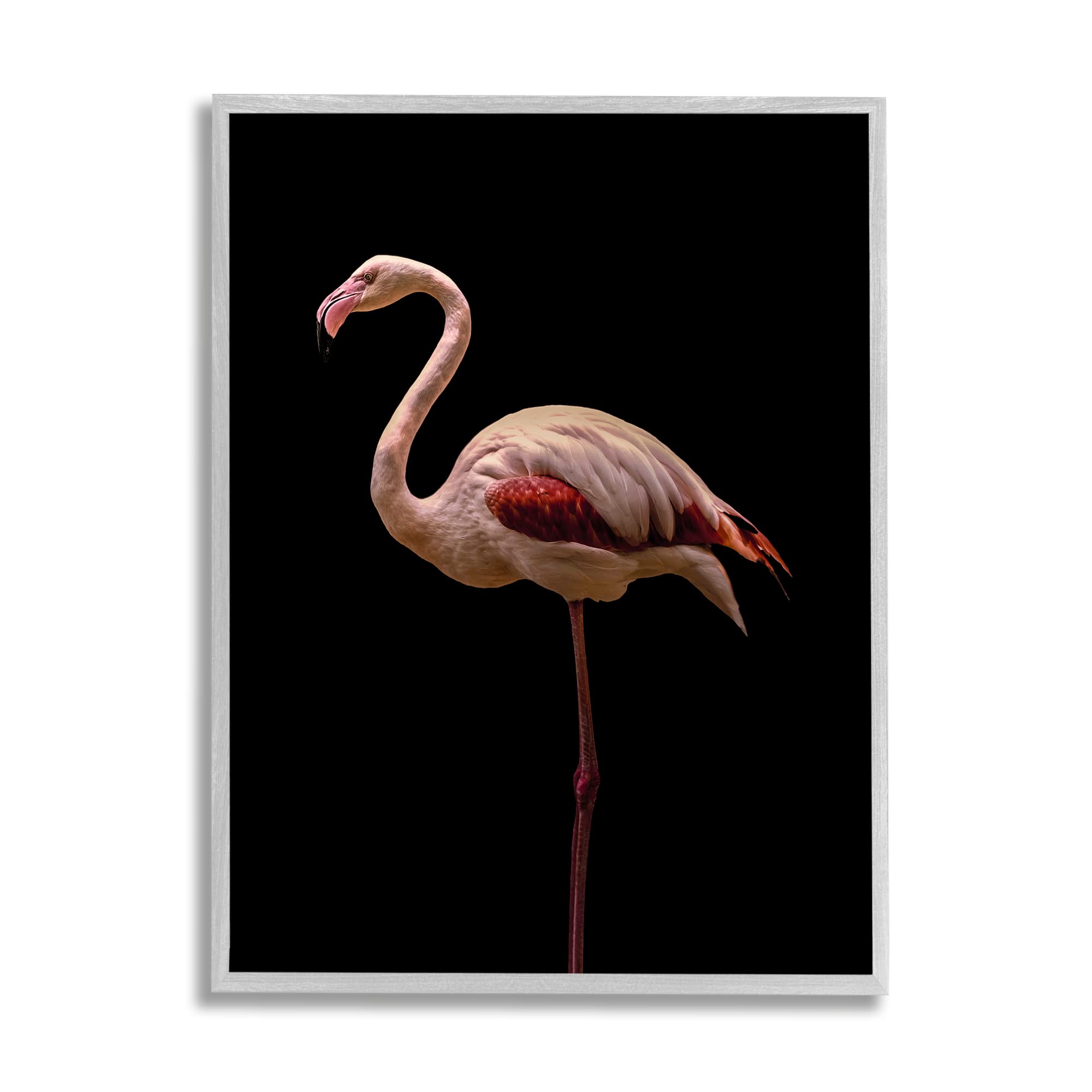 Stupell Industries Pink Flamingo Portrait Wall Art - Detailed Wildlife Photography by Incado - Perfect for Tropical Home Decor, Bathroom Accent & Gift Idea