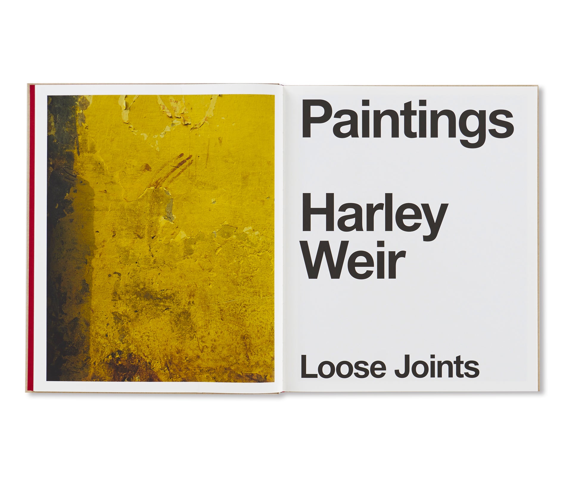 Harley Weir Paintings - Contemporary Art Prints for Home & Office Decor | Wall Art for Living Room, Bedroom & Office Spaces