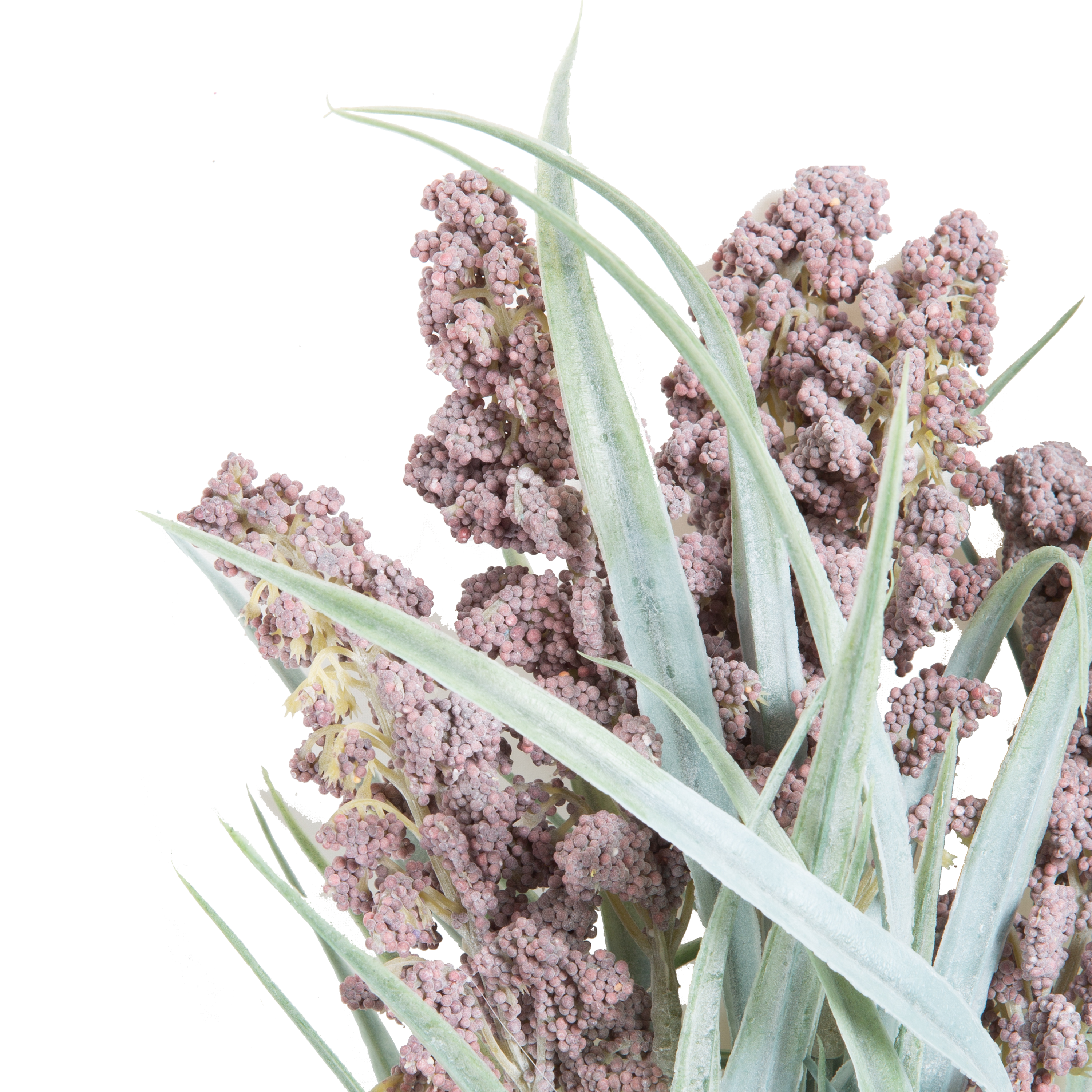 Lavender Bush Stem - Fresh Cut Aromatic Lavender Stems for Home Decor, DIY Crafts, and Relaxation | Perfect for Bouquets, Potpourri, and Aromatherapy