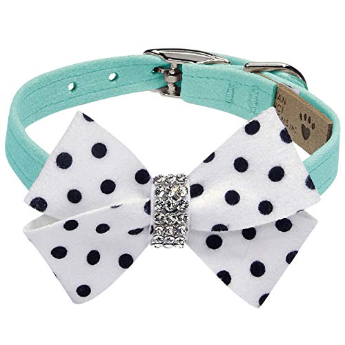 Tiffi Blue