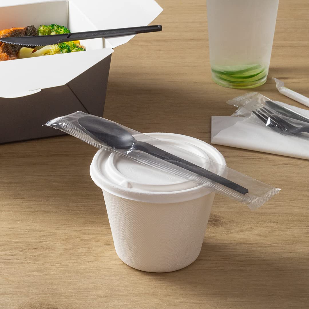 Eco-Friendly 6.5 Inch Compostable Spoons - 250 Individually Wrapped Plant-Based Cutlery Set | BPI-Certified CPLA Disposable Utensils for Hot & Cold Foods | Perfect for Restaurants, Catering, Picnics & Outdoor Events