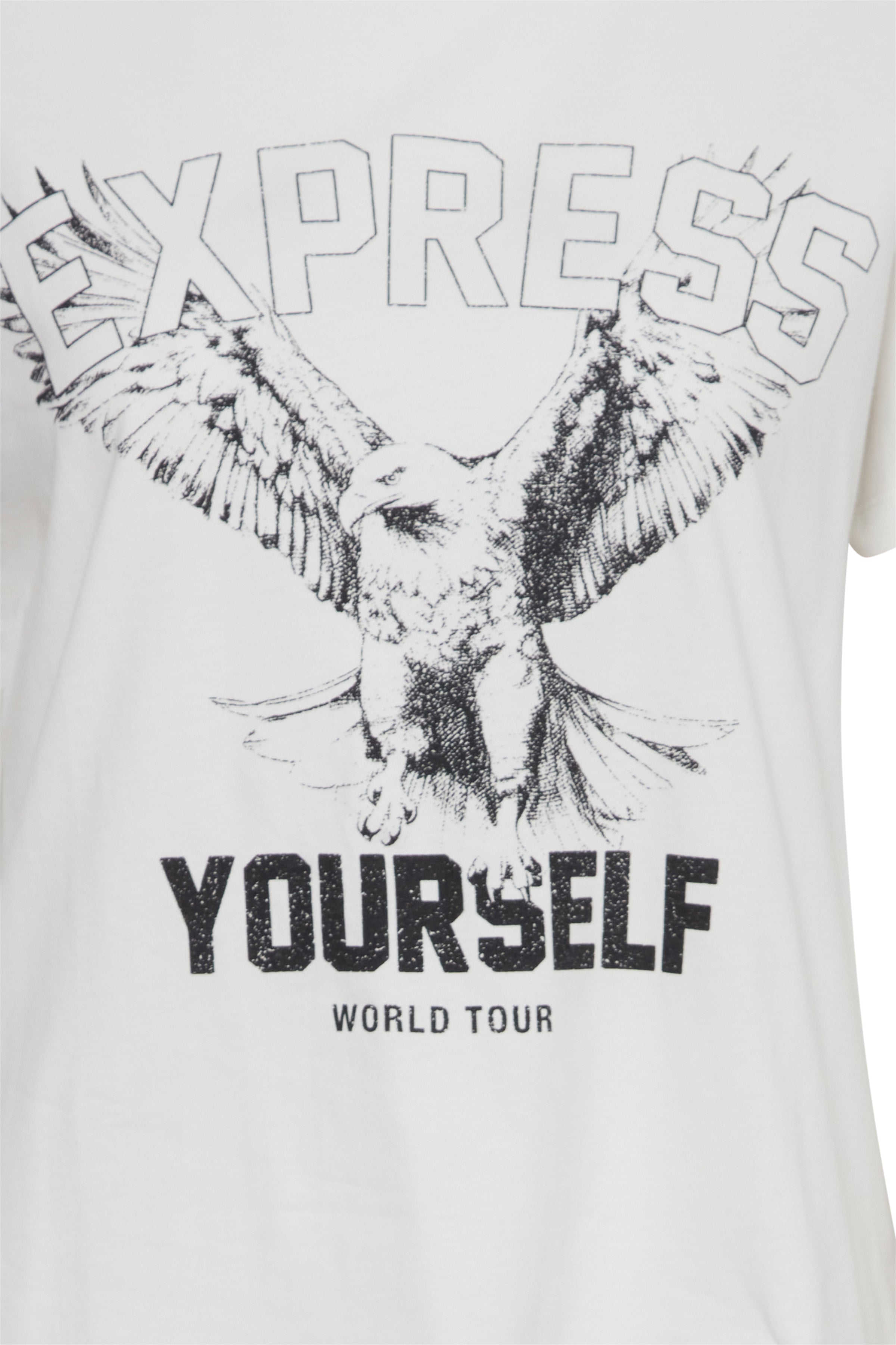 Eagle Graphic T-Shirt - Cloud Dancer Design - Comfortable Cotton Tee for Men & Women - Perfect for Casual Wear, Outdoor Adventures & Street Fashion
