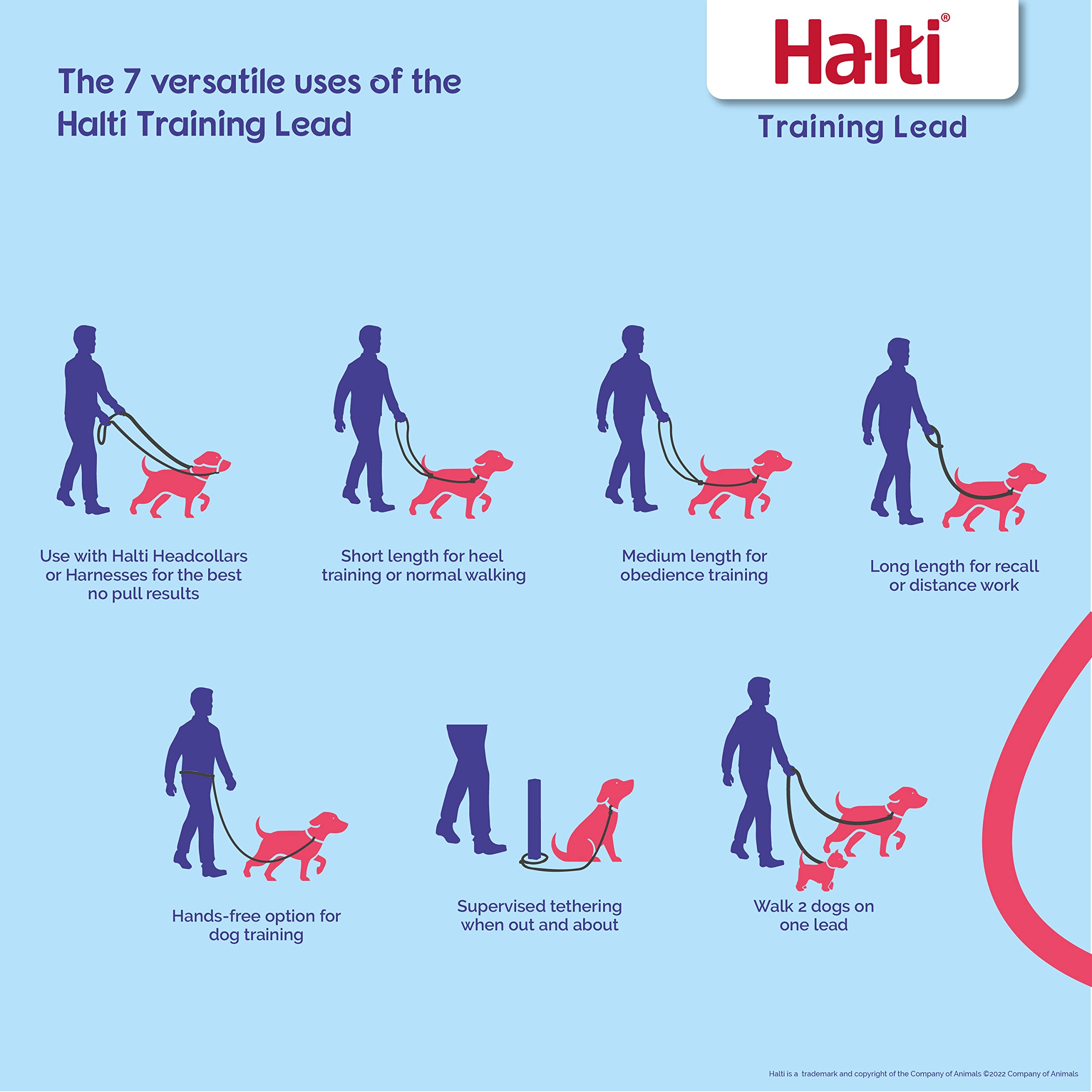 HALTI Headcollar Size 3 & Training Leash Large - No Pull Dog Collar Set for Medium Dogs | Adjustable, Lightweight with Padded Nose Band | Black | Perfect for Walking, Training & Behavior Correction