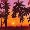 Cali Palms