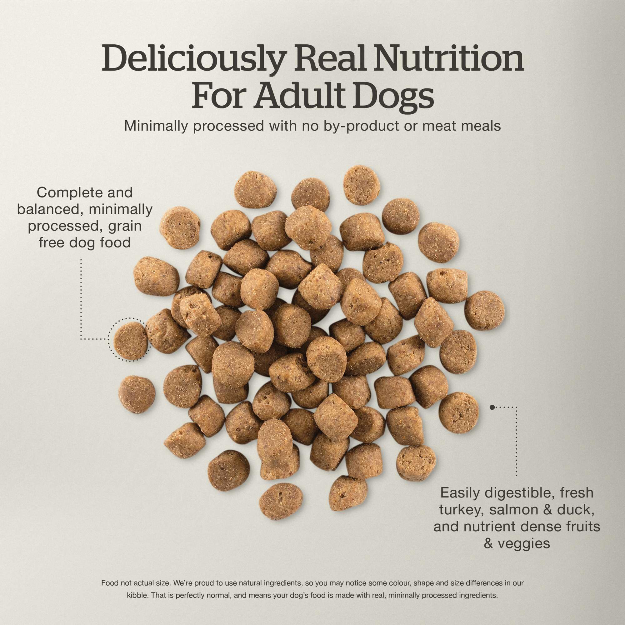 Now Fresh Grain-Free Dry Dog Food - Real Turkey, Salmon & Duck Recipe for Adult Dogs of All Breeds & Sizes - 3.5 lb Bag - Perfect for Daily Nutrition & Healthy Skin/Coat Maintenance