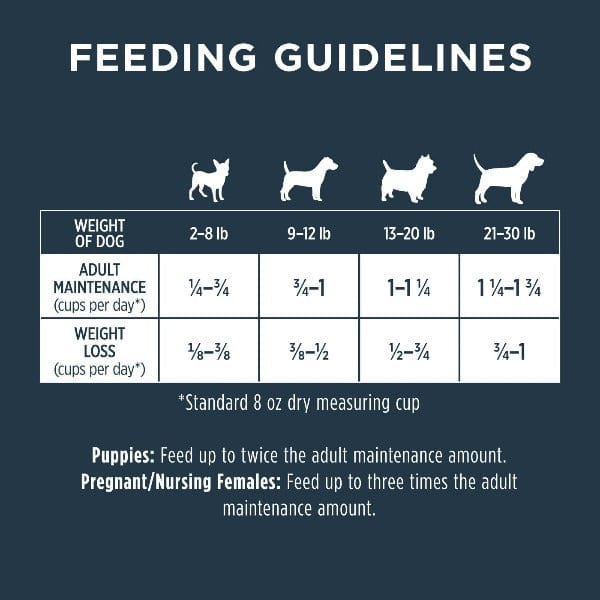 Instinct Raw Boost Real Chicken Recipe Small Breed Dry Dog Food - 4lb Bag | High Protein Grain-Free Kibble for Small Dogs | Perfect for Active Pets & Training Treats