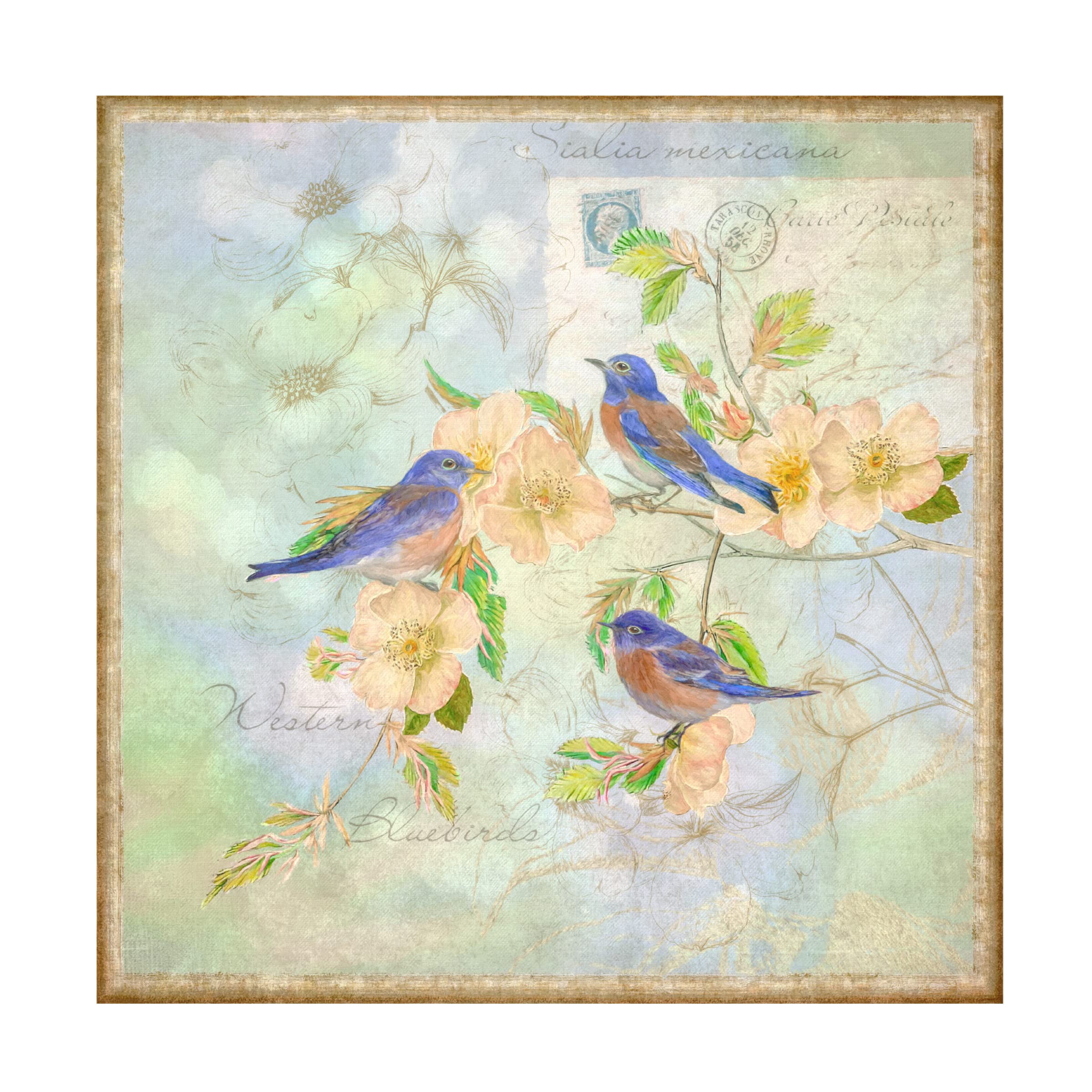Trademark Fine Art 'Blue Birds on Blossom Branch' Canvas Wall Art by Cora Niele - Hand-Painted Floral Bird Painting for Living Room, Bedroom & Office Decor