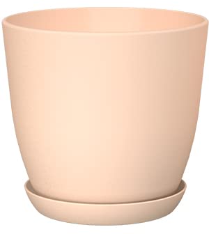Peach Pink