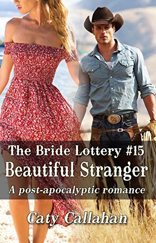 Bride Lottery Book 15: Beautiful Stranger - Romantic Fantasy Novel