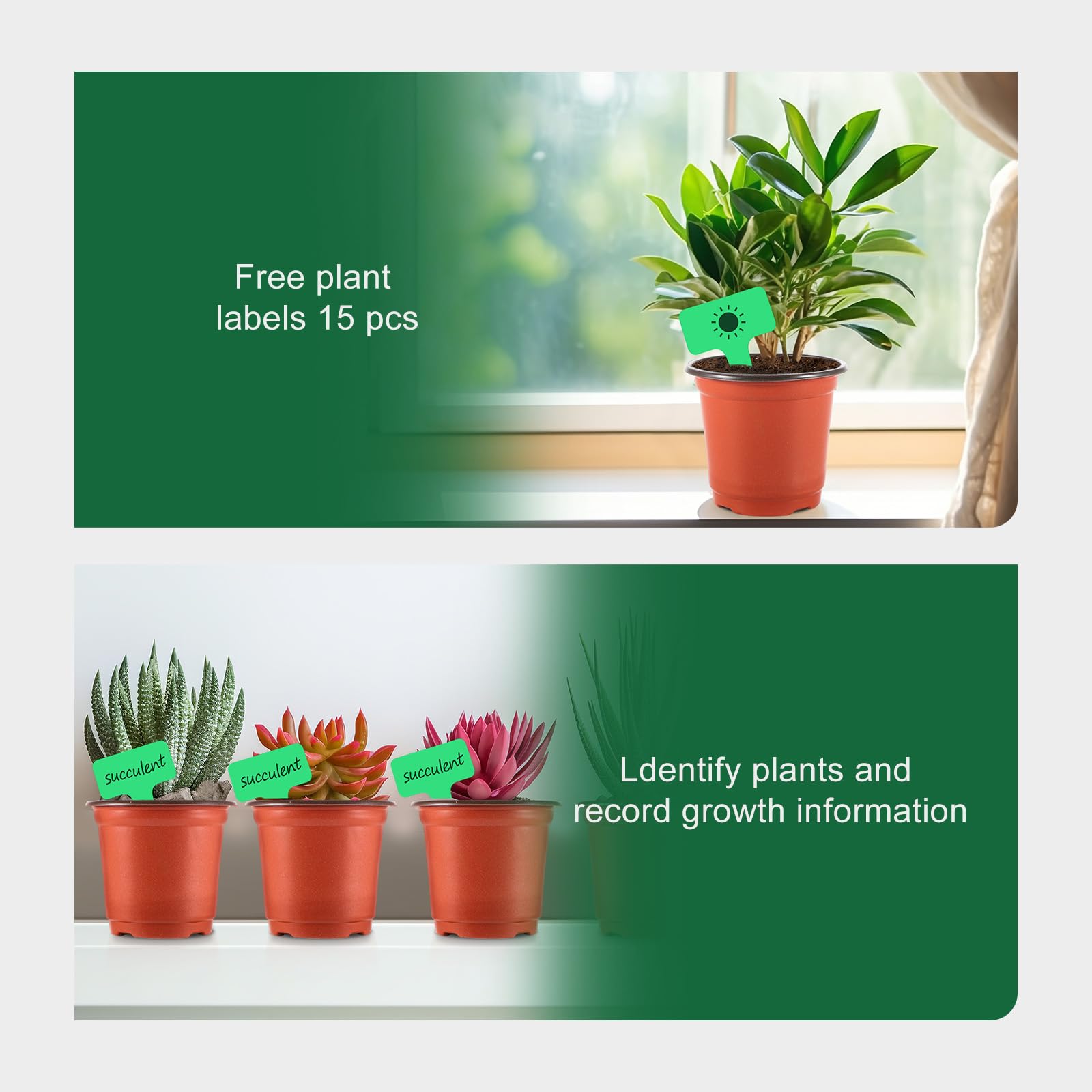 GROWNEER 4 Inch Plastic Plant Pots for Seedlings - 60 Pcs Nursery Pots with 15 Plant Labels - Small Flower Seed Starter Containers for Indoor Outdoor Gardening, Transplanting, Herbs, Succulents & Houseplants