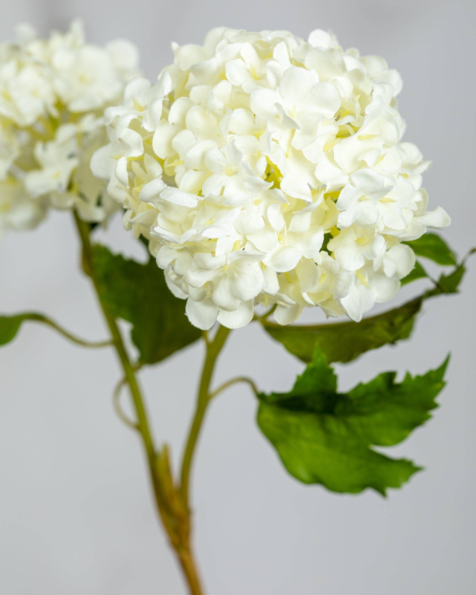 Premium Artificial White Snowball Hydrangea Flowers - 21.5 Inch Tall Faux Floral Arrangement for Home Decor, Wedding Centerpieces & Office Decoration