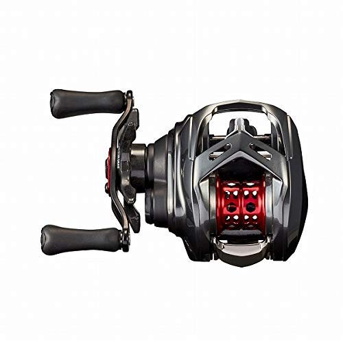 Daiwa Alphas AIR TW 20 Baitcasting Reel - Left/Right Handle (2020 Model) - Perfect for Bass Fishing, Saltwater & Freshwater Angling