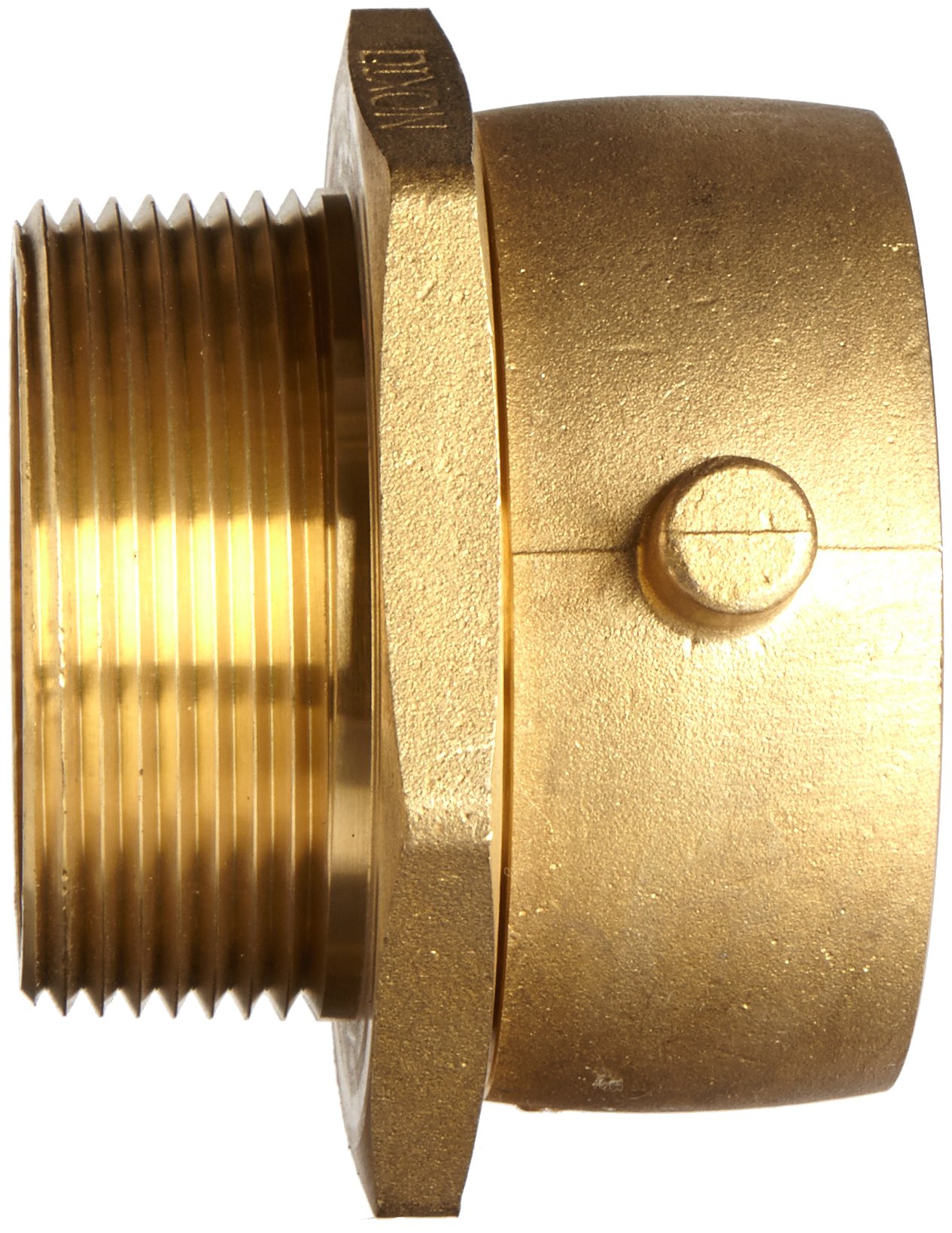 Dixon Valve SM250F 2-1/2