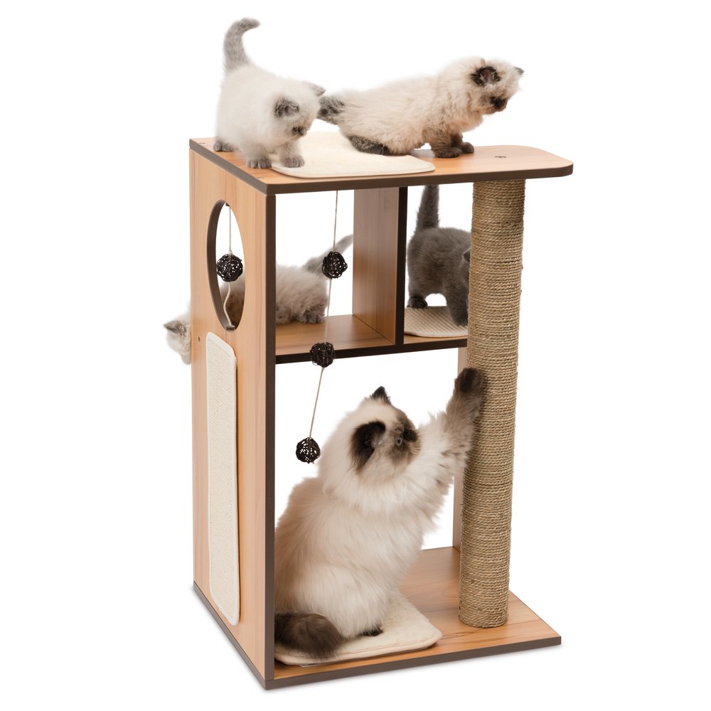 Premium Walnut Cat Tree with Scratching Posts & Cozy Hideaway Box - Large Cat Condo for Indoor Cats - Perfect for Play, Rest & Climbing in Home or Office