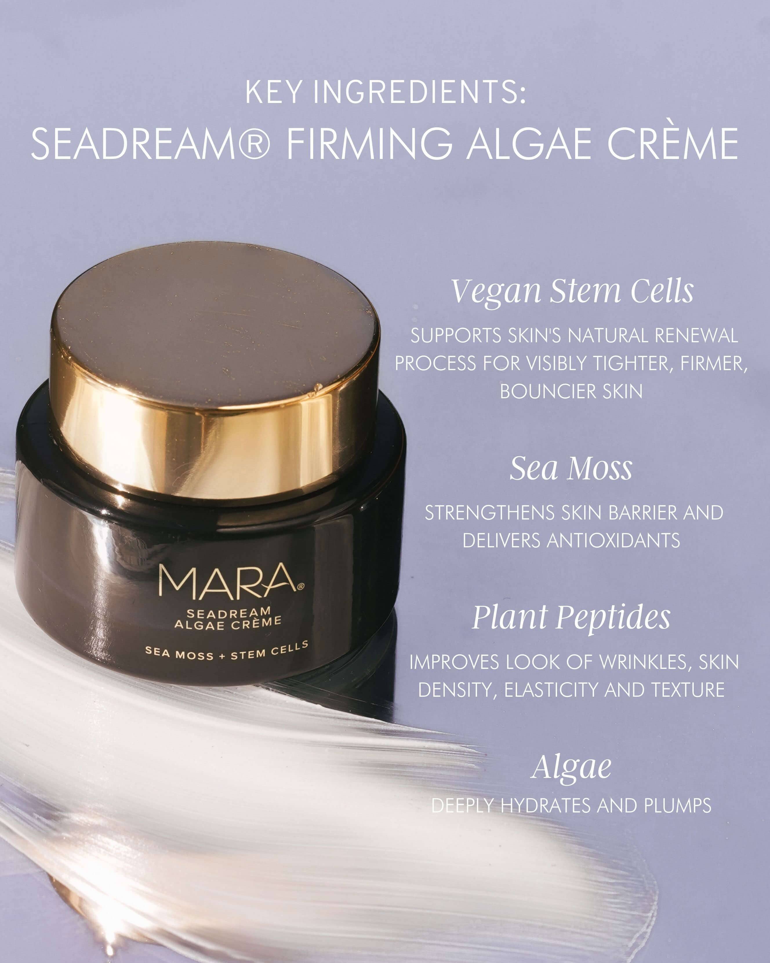 Sea Moss & Stem Cell Firming Algae Cream - Anti-Aging Face Moisturizer for Wrinkles & Dry Skin | Hydrating & Lifting Night Cream for Women & Men | Perfect for Daily Skincare Routine & Post-Workout Recovery
