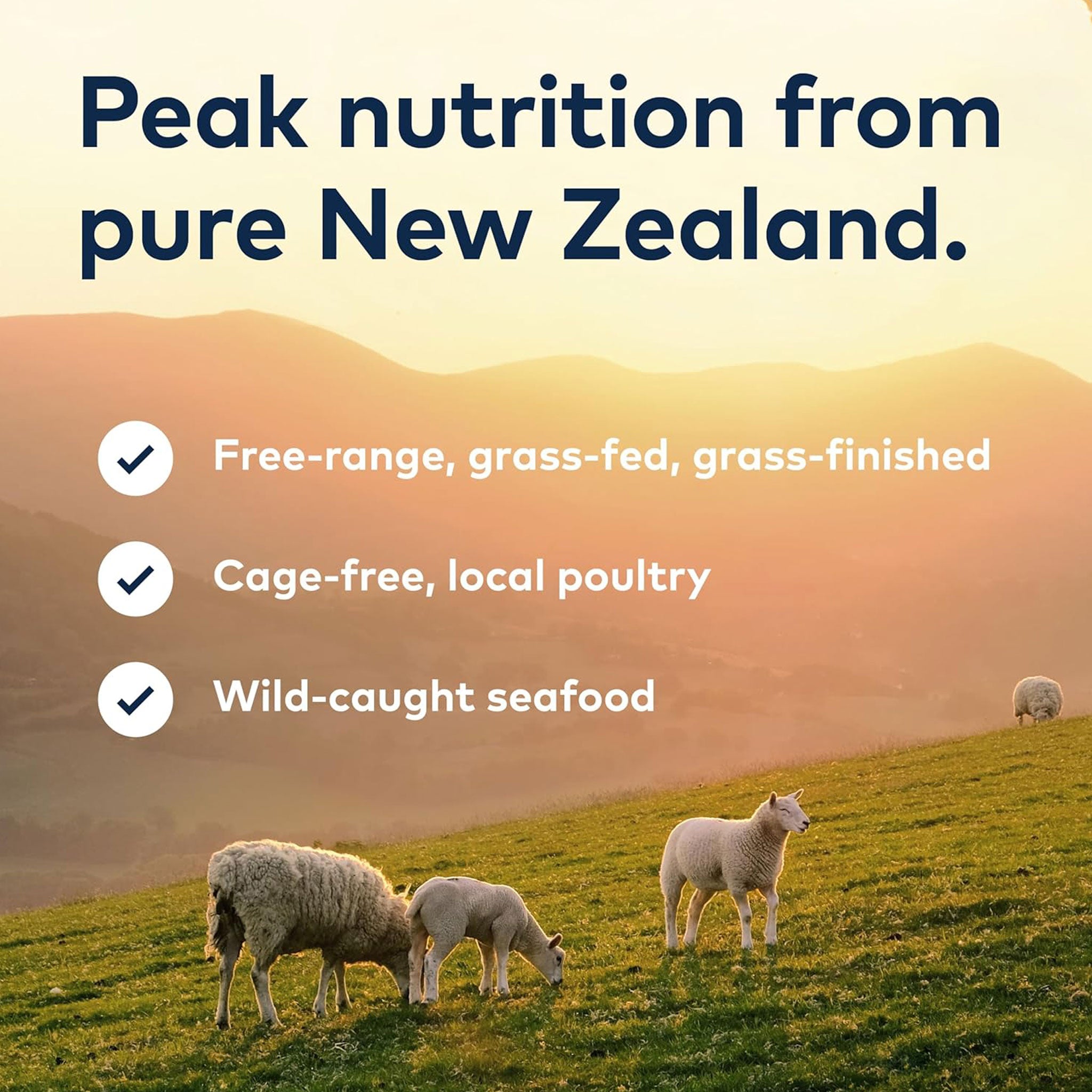 Ziwi Peak Air-Dried Lamb Dog Food - Grain-Free, High-Protein, Natural Ingredients for Small & Large Breeds - Perfect for Training, Travel & Everyday Meals
