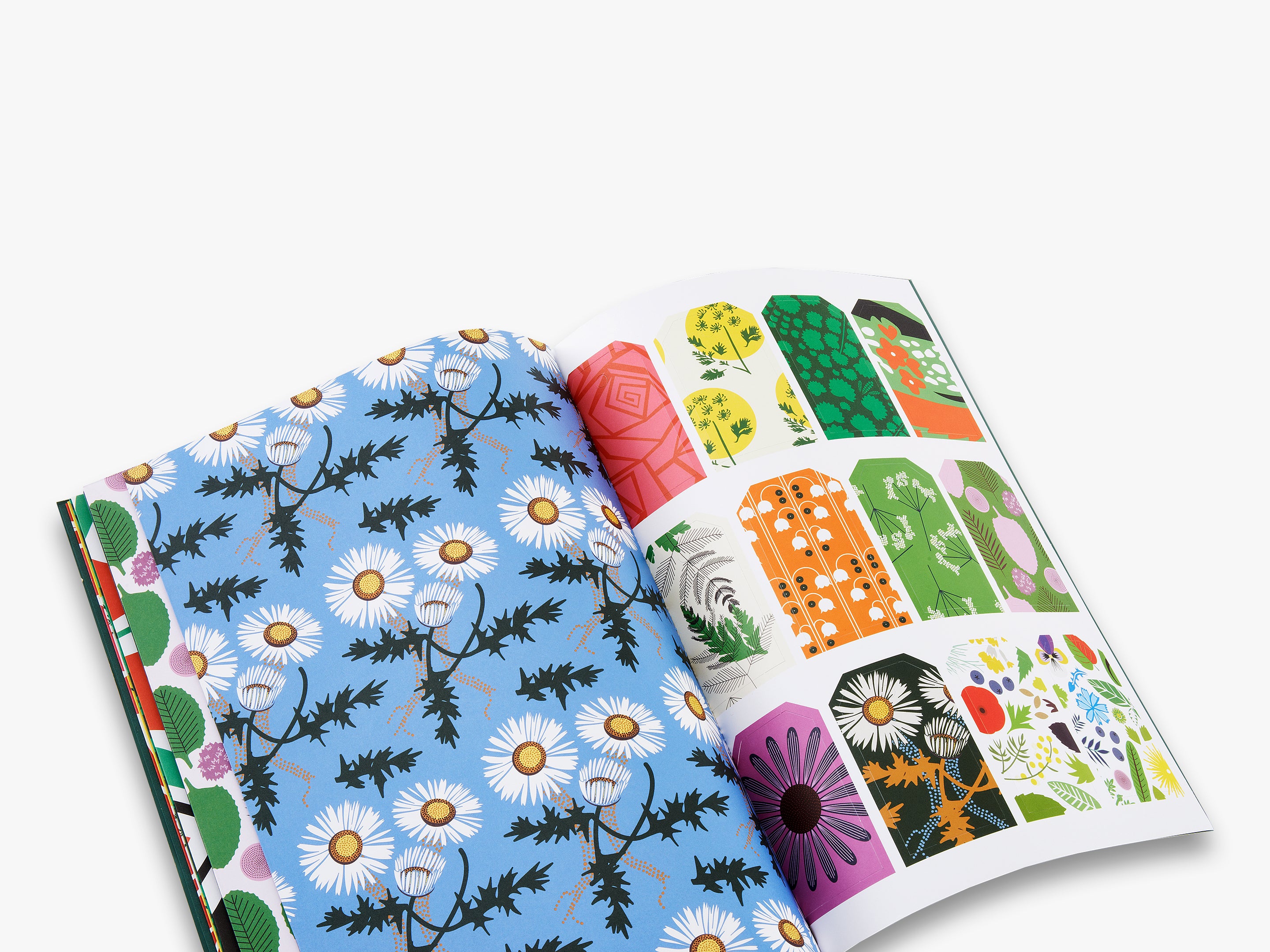 Herbarium Pressed Flower Gift Wrapping Paper Book - Perfect for Wedding Invitations, Scrapbooking & DIY Craft Projects