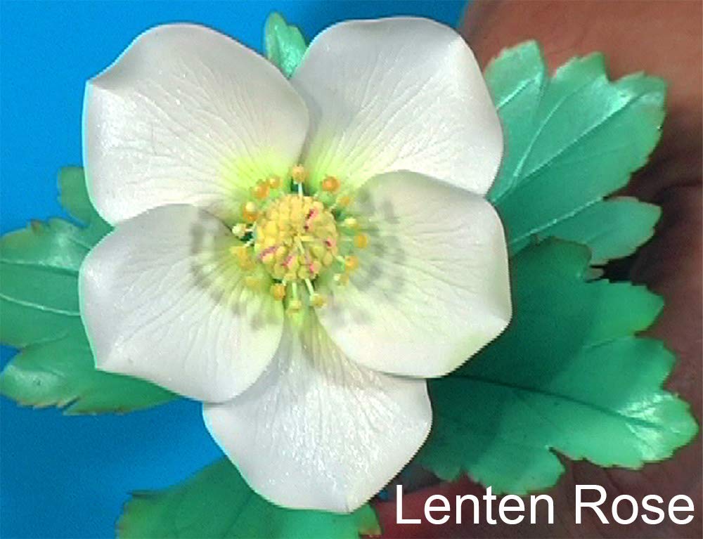 Premium WSA Lenten Rose Leaf Cutters Set - 3 Sizes for Gardening & Floral Arrangements | Ideal for Christmas Decor, Wedding Bouquets & DIY Crafts