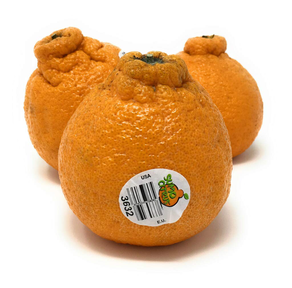 Fresh Dekopon Citrus Box - 48oz Premium Japanese Mandarin Oranges | Perfect for Healthy Snacks, Gift Baskets & Fruit Platters