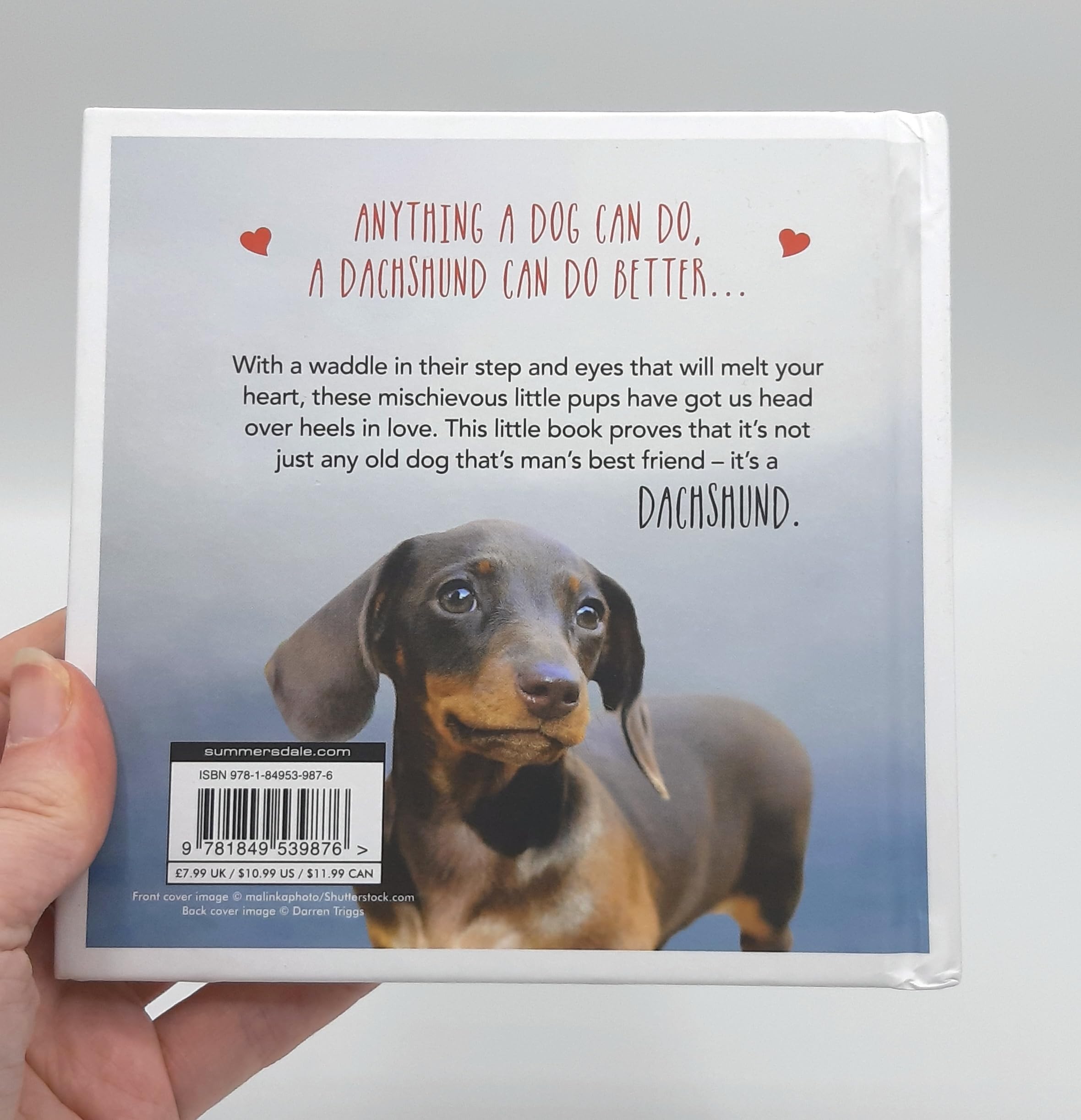 Adorable Dachshund Love Themed Gifts - Perfect for Valentine's Day, Anniversaries & Dog Lovers