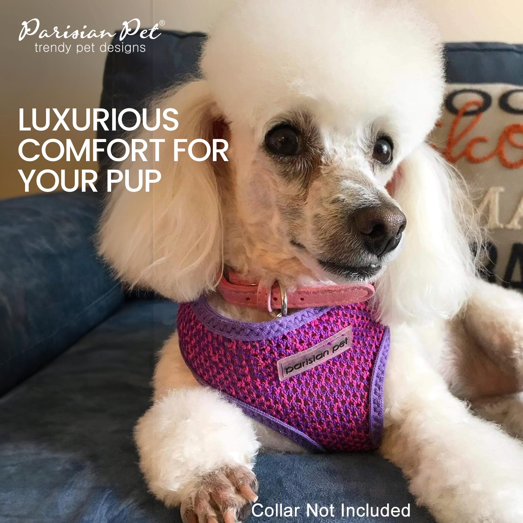 Parisian Pet Girl Dog Harness - Soft Padded Purple/Pink Mesh Vest for Small Dogs - Breathable & Cooling Dog Harness for Walking, Running, Hiking - Adjustable Puppy Harness XS - Perfect for Outdoor Adventures & Summer Activities