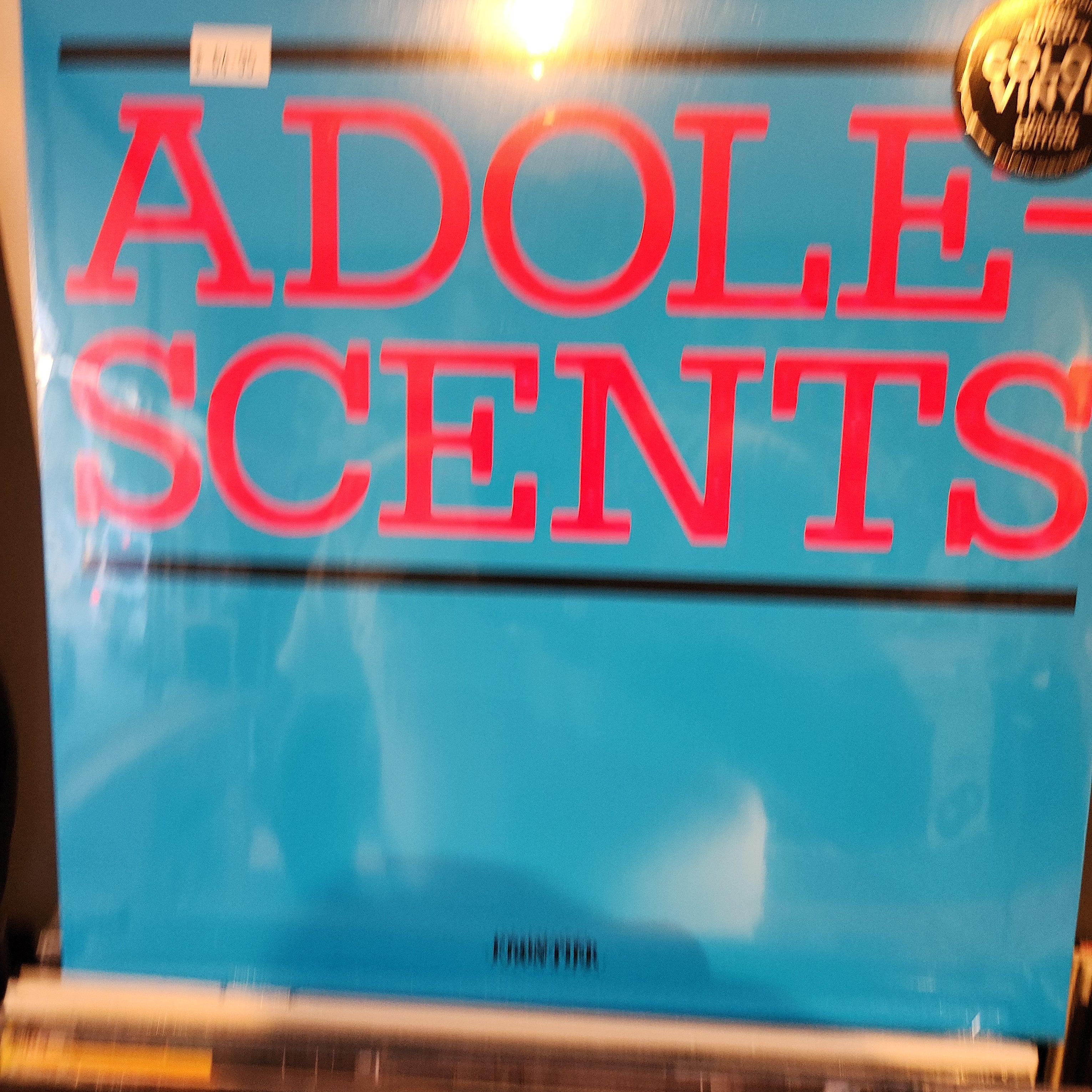 Adolescents - Colour Vinyl LP | Punk Rock Music Record | Perfect for Collectors & Music Lovers | Great for Home Listening & Gifts