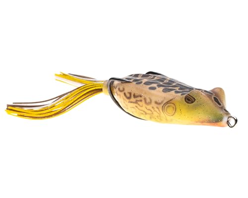 New Bullfrog