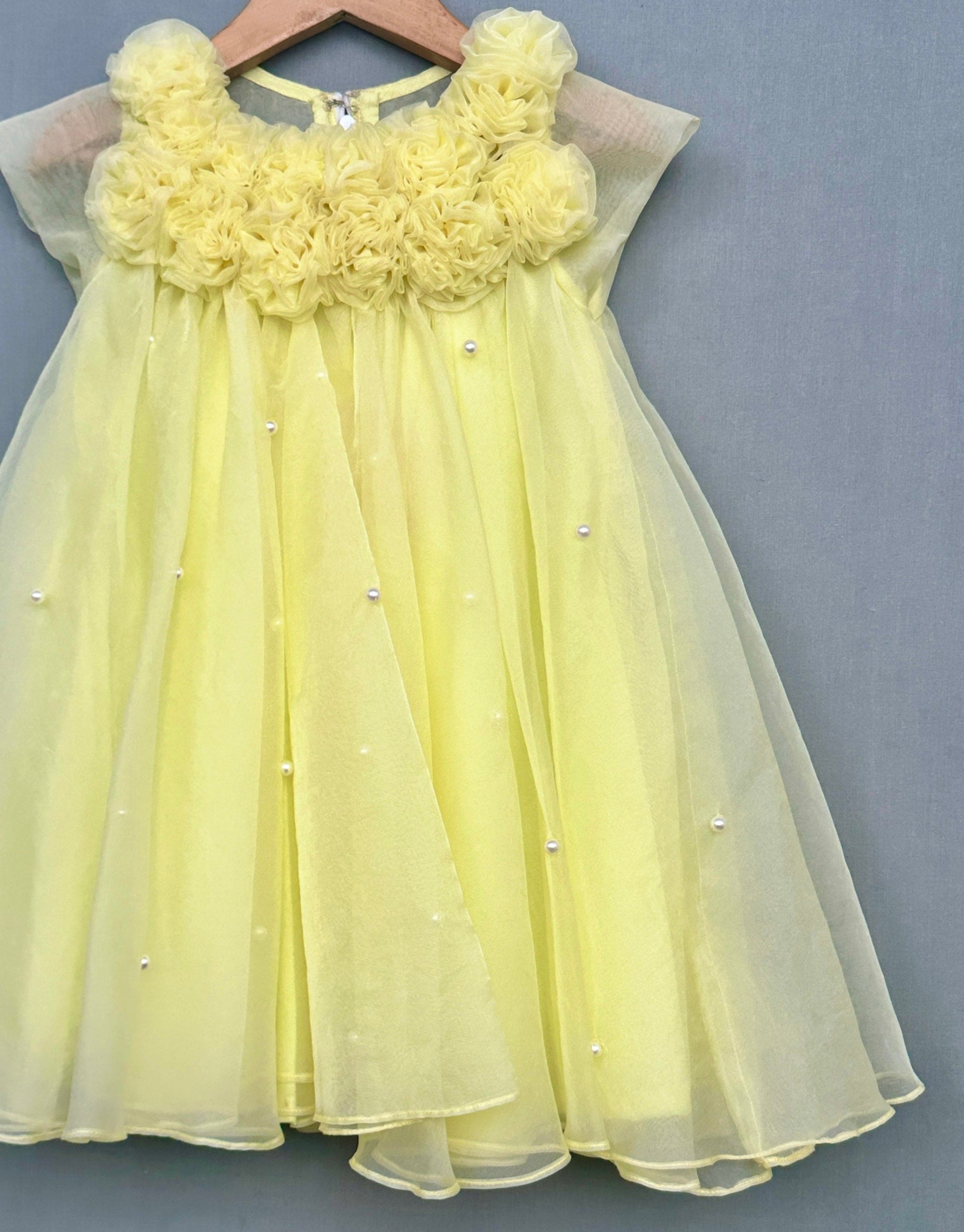 Floral Embellished A-Line Dress in Yellow | Elegant Summer Dress for Women | Perfect for Weddings, Parties & Special Occasions