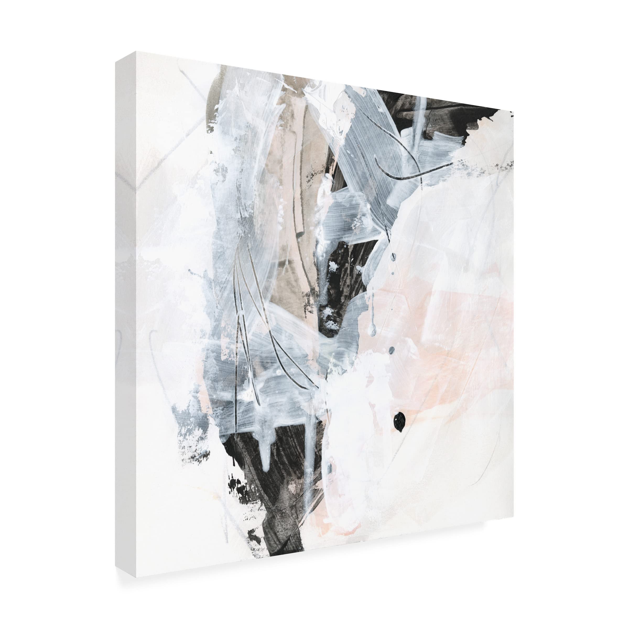 Trademark Fine Art 'Veiled Formation IV' Abstract Canvas Wall Art by June Erica Vess - Perfect for Living Room, Bedroom & Office Decor