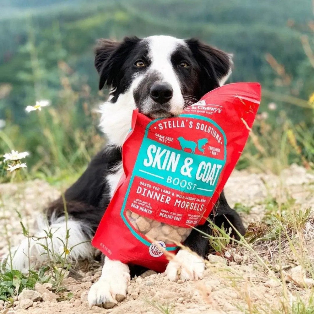 Premium Freeze-Dried Grass-Fed Lamb & Wild Salmon Dog Food - Skin & Coat Health Booster | Perfect for Adult Dogs & Puppies at Home or Outdoor Adventures
