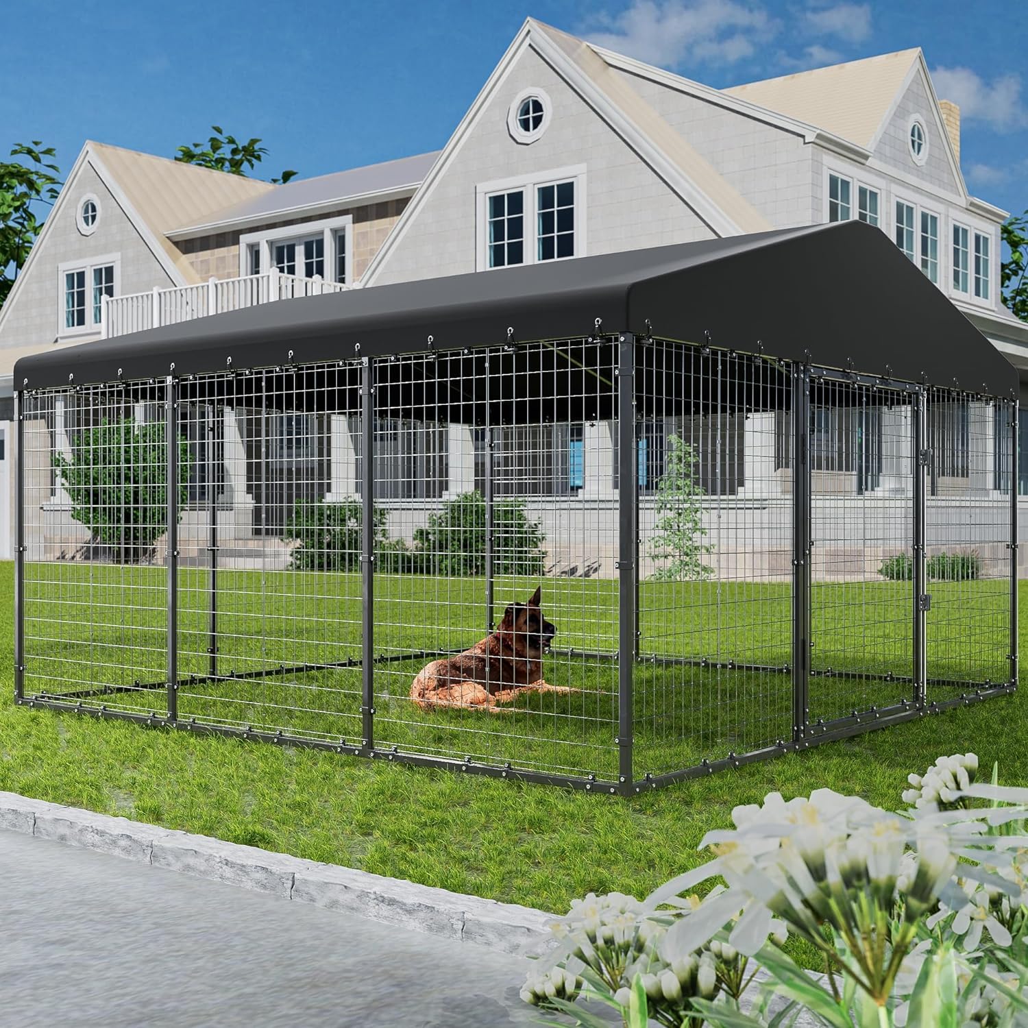 Large Outdoor Dog Kennel - 118