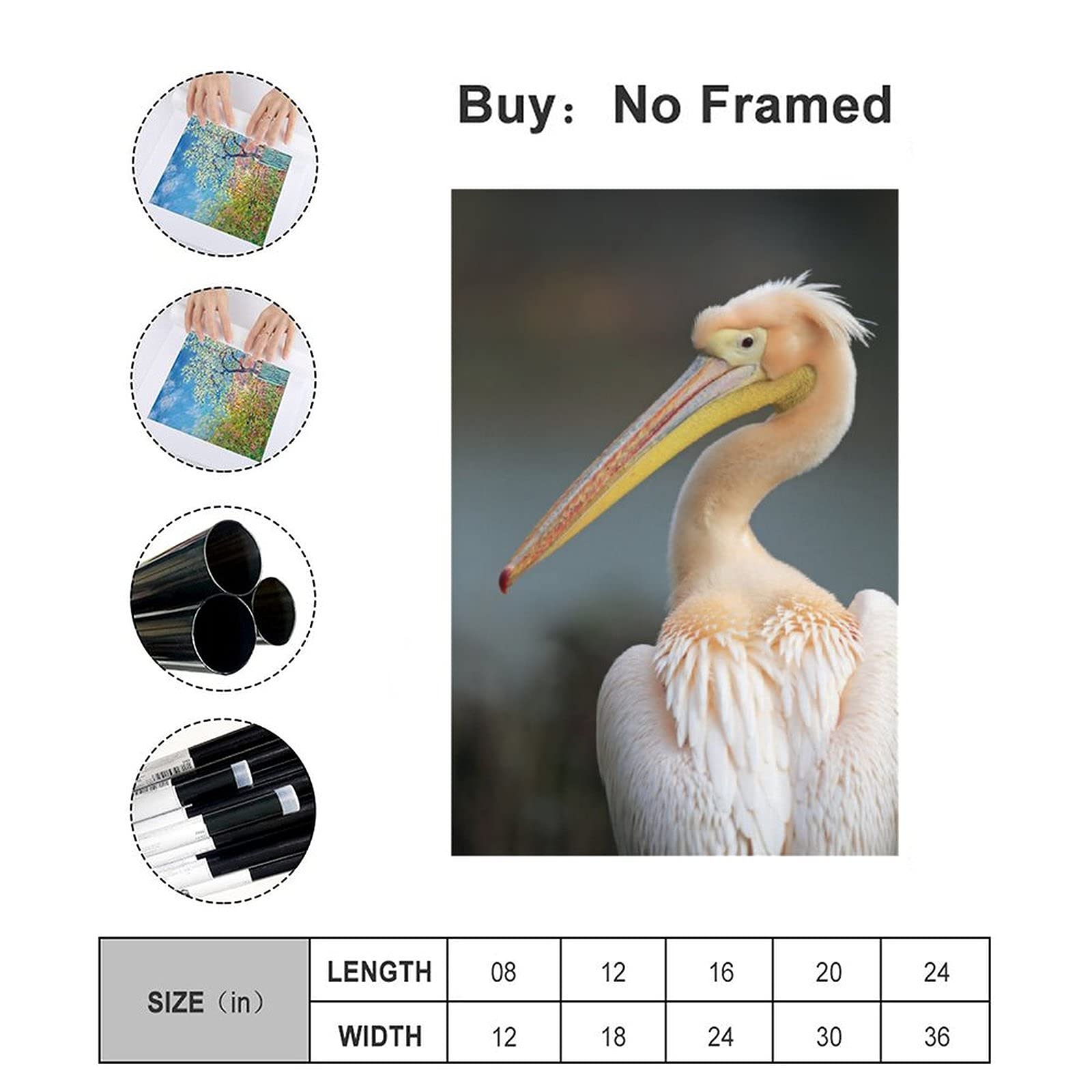 Great White Pelican Canvas Wall Art - Beautiful Bird Painting for Living Room, Bedroom & Office Decor - Nature Landscape Poster Gift for Animal Lovers