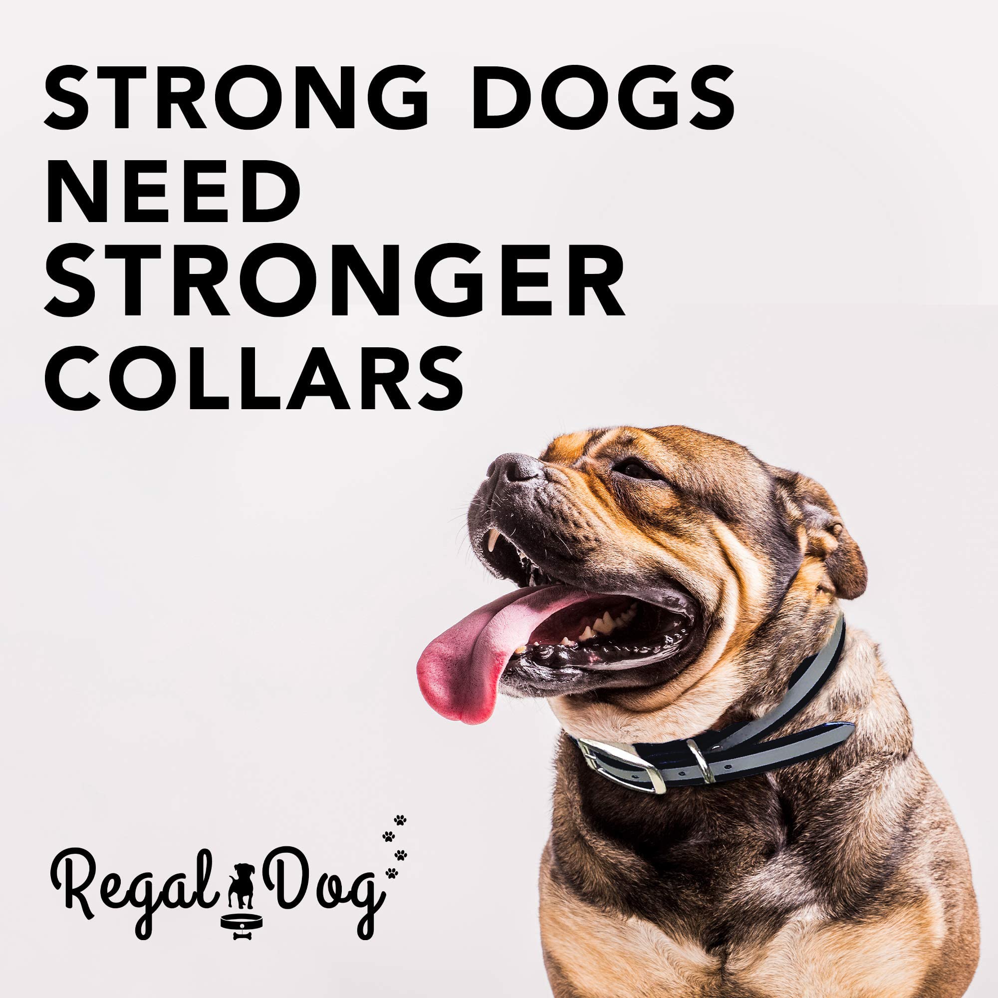 Regal Heavy Duty Reflective Dog Collar - Adjustable Chew Proof & Waterproof Collar with Metal Buckle & D-Ring for Small Medium Large Dogs | Perfect for Night Walks, Training & Outdoor Adventures