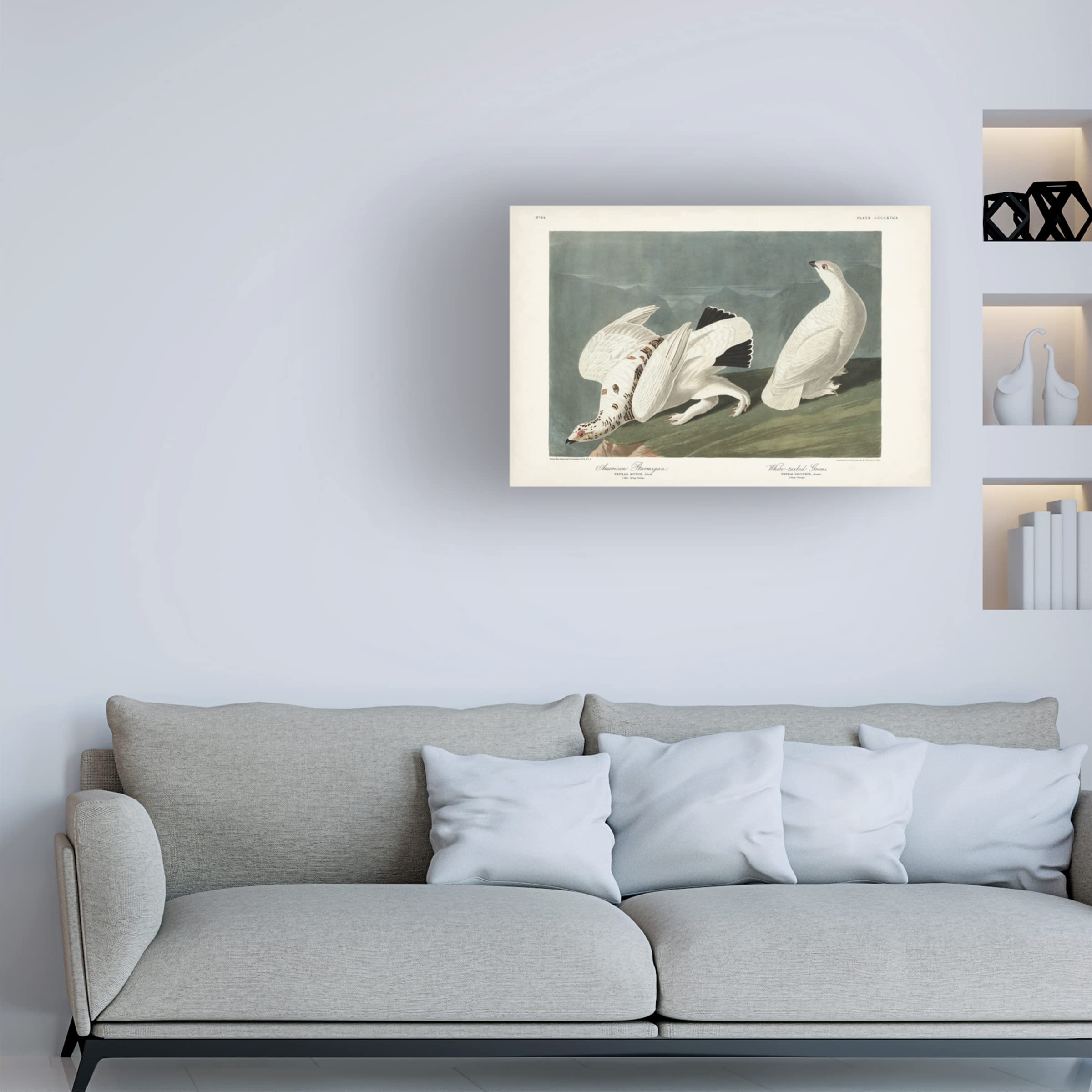 John James Audubon 'American Ptarmigan' Canvas Wall Art Print - 22x32 Inches - Wildlife Bird Painting for Home & Office Decor