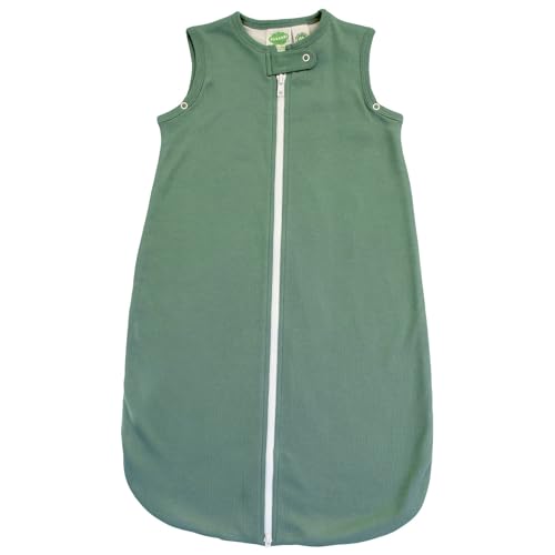 Camper Green