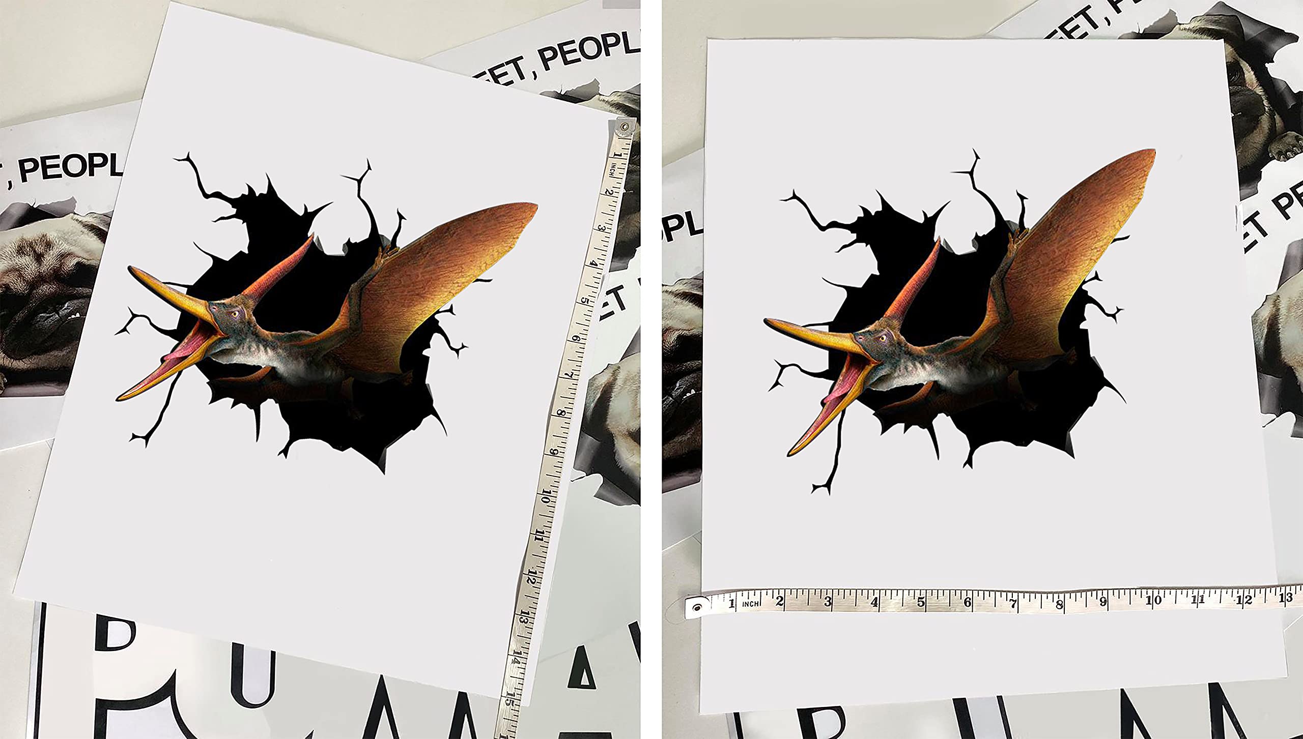 Realistic Pteranodon Dinosaur Car & Wall Decals Stickers - 10