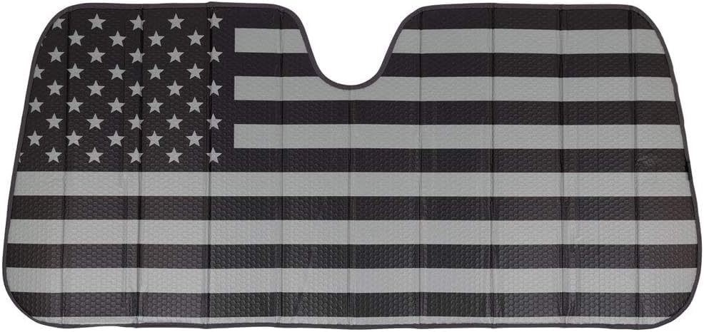 American Flag BW