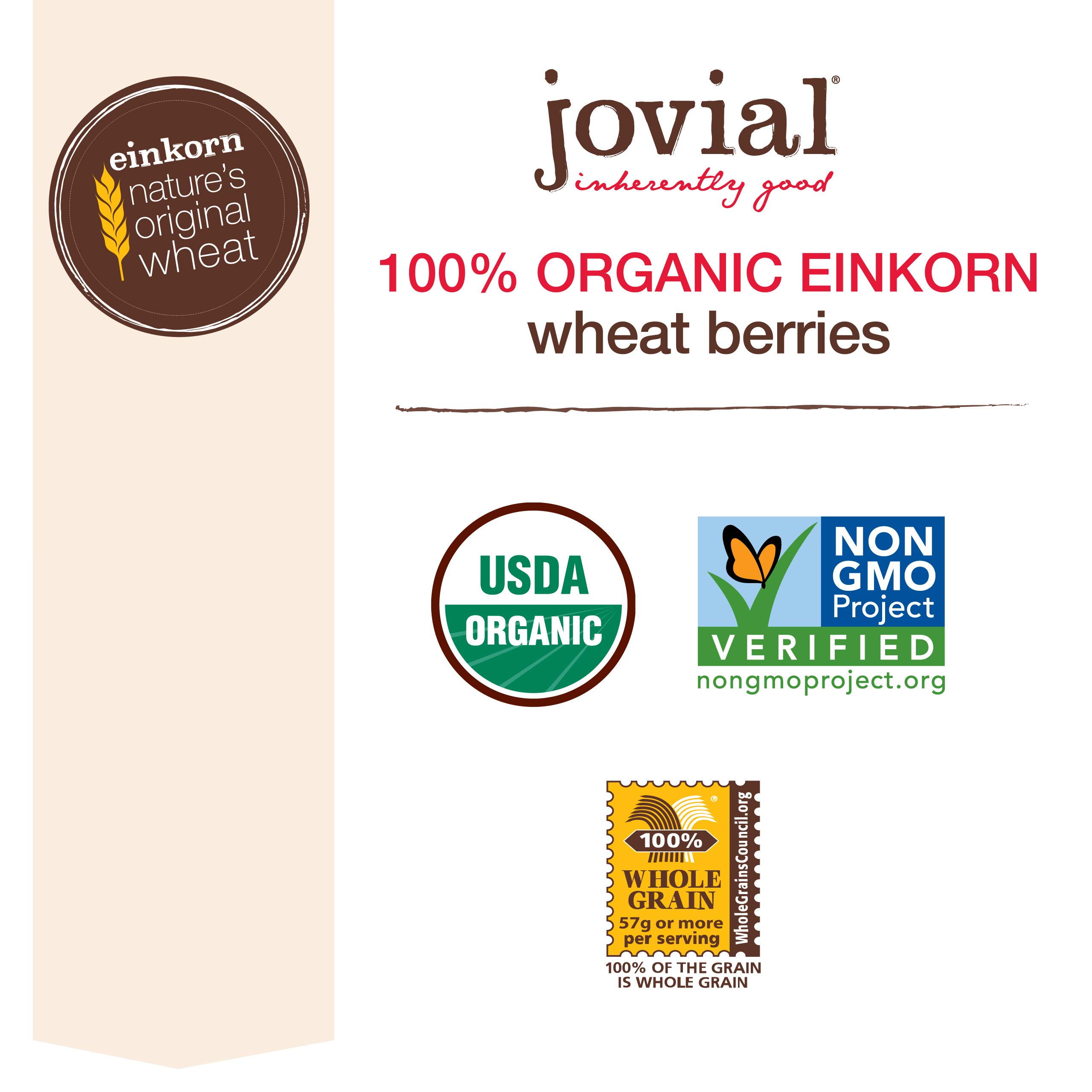 Organic Wheat Berries - 16oz (Pack of 12) | Non-GMO, Whole Grain for Baking, Cooking & Healthy Breakfast | Perfect for Bread, Salads & Meal Prep