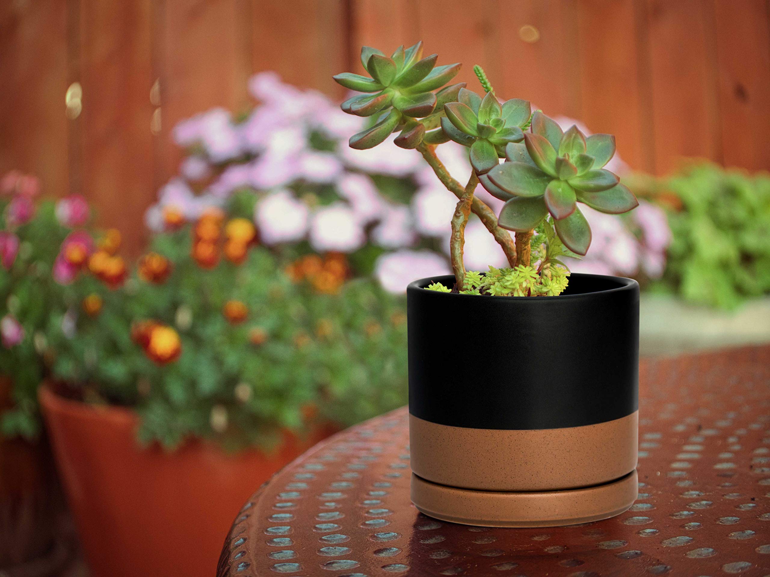 D'vine Dev Ceramic Planter Pot with Drainage Hole & Saucer - 4.6 Inch Indoor Cylinder Round Flower Pot for Succulents, Herbs & Small Plants - Black/Speckled Tan (94-O-B-7) - Perfect for Home, Office & Windowsill Decor